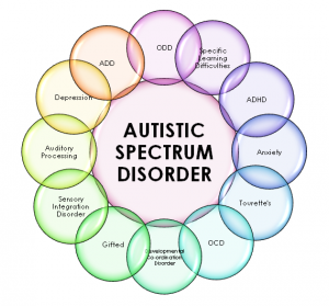 Autism Spectrum Disorder Test